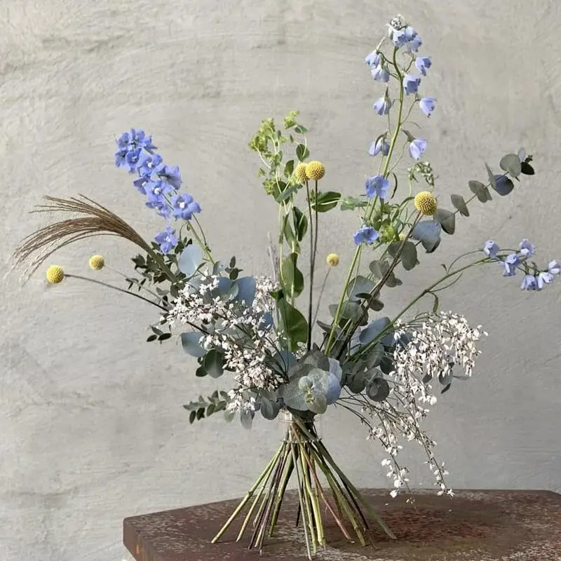 Spiral Ikebana Stem Holder Stu - đánh giá và giá Ikebana Vase Kenzan