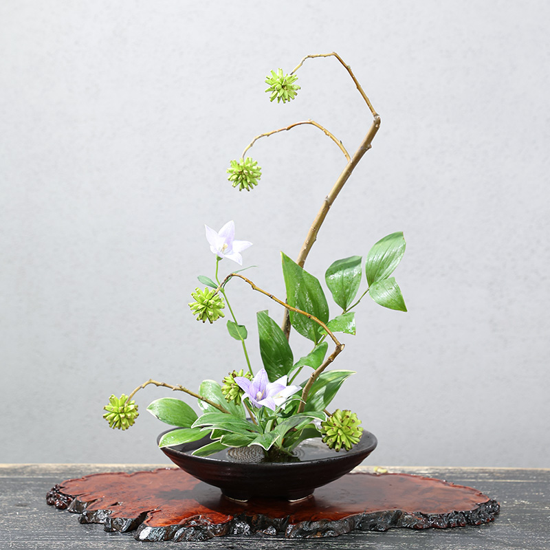 Japanese Frog Vase Ceramic Bou - đánh giá và giá Ikebana Vase Kenzan