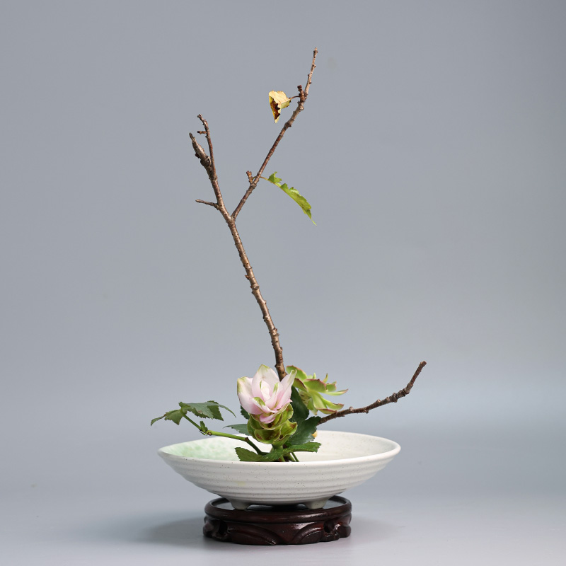 Japanese Frog Vase Ceramic Bou - đánh giá và giá Ikebana Vase Kenzan
