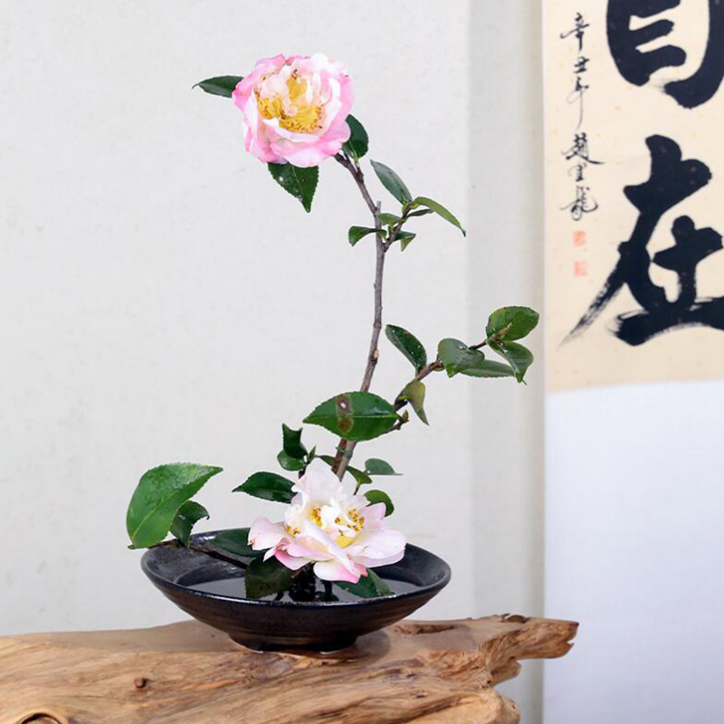 Japanese Frog Vase Ceramic Bou - đánh giá và giá Ikebana Vase Kenzan